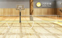 动因体育北京动因体育篮球培训价格一览