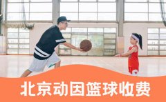 动因体育北京动因体育篮球培训收费-一节课多少钱